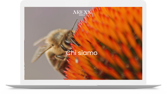 arena mieli 1
