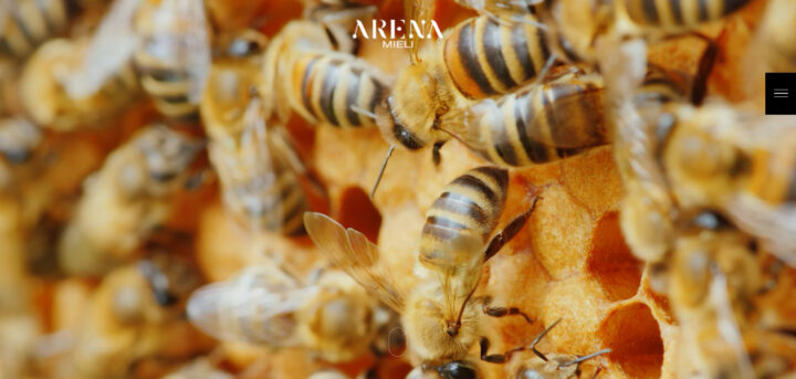 arena-mieli-web-wordpress-woocommerce